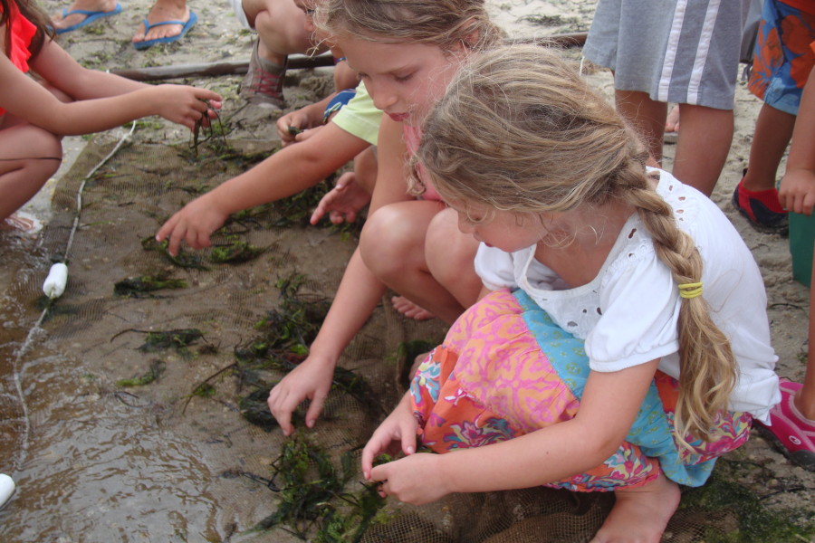 two young girls searching reaching the hands into the sand while studying ecology