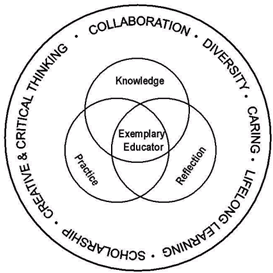 NIU conceptual framework for courses